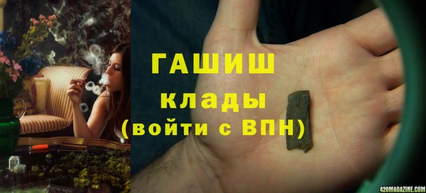 сатива Сосновка