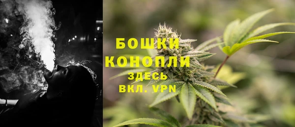 спайс Богданович