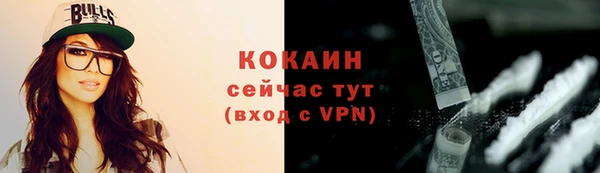 спайс Богданович