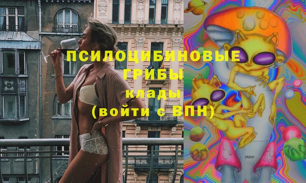 кокс Богородицк