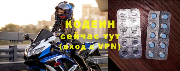 спайс Богданович